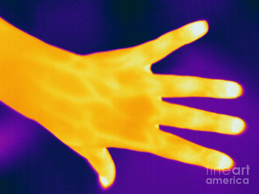 Thermogram Of A Hand #2 Photograph by Ted Kinsman