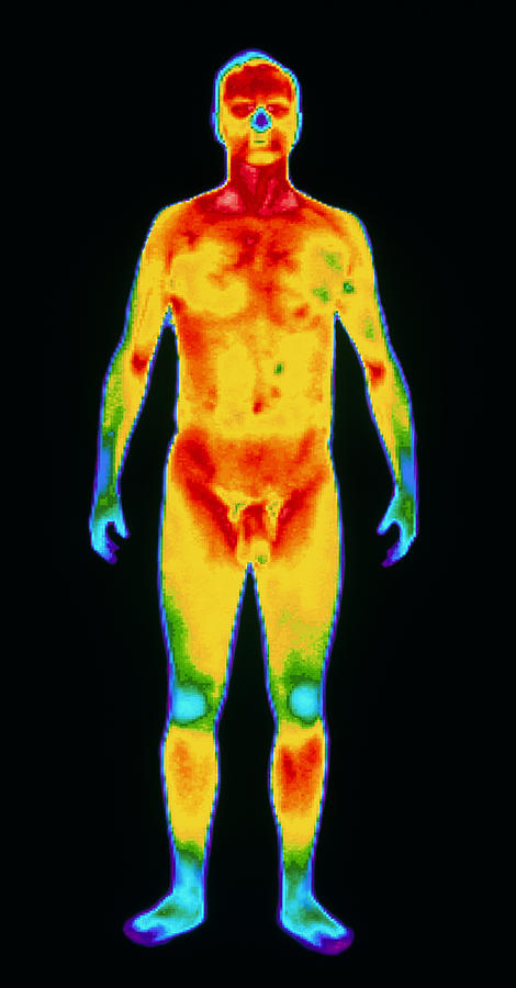 Thermogram Photograph - Thermogram Of A Standing Naked Man (front View) #2 by Dr. Arthur Tucker Photo Library
