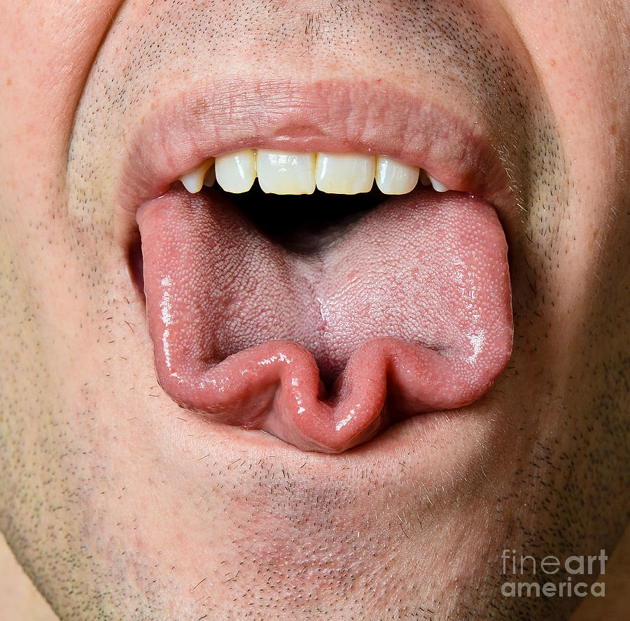 Tongue Trick #2 Photograph by Photo Researchers