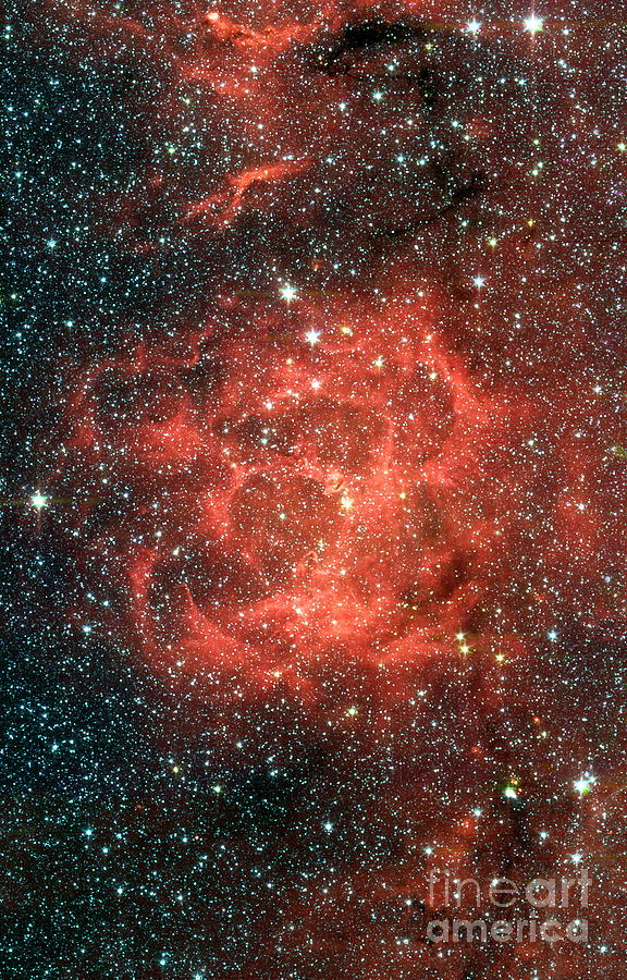 Trifid Nebula Photograph by NASA Science Source