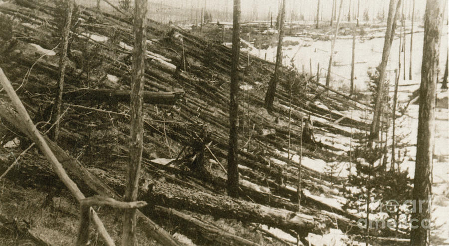 Tunguska Event, 1908 #2 Photograph by Science Source