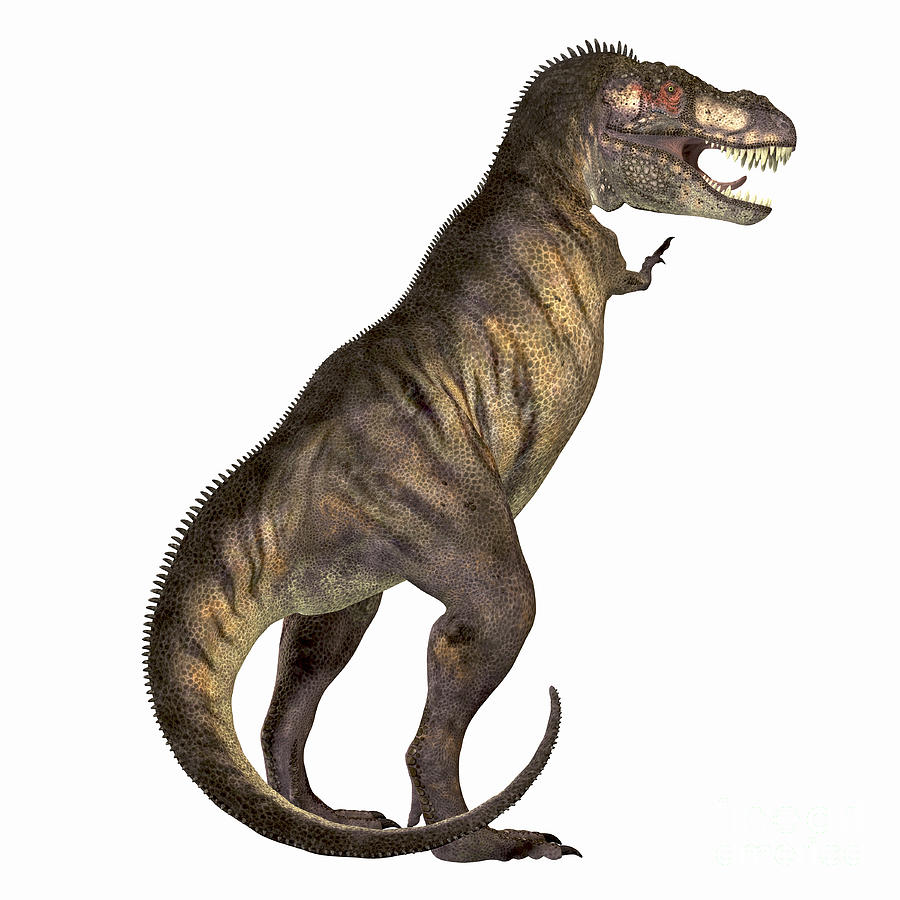 tyrannosaurus rex 2011