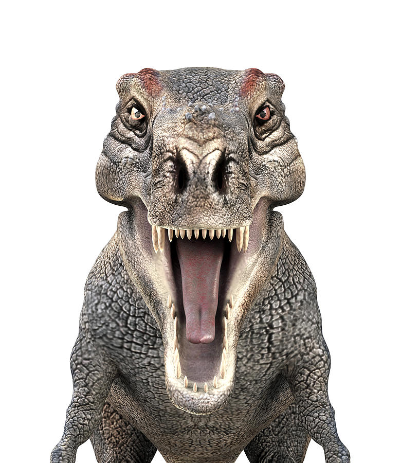 Jaws Photograph - Tyrannosaurus Rex Dinosaur #2 by Roger Harris