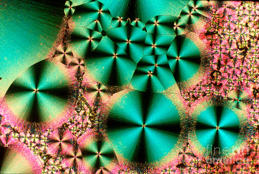 Chemistry Photograph - Vitamin B1 Crystal #1 by Michael W Davidson