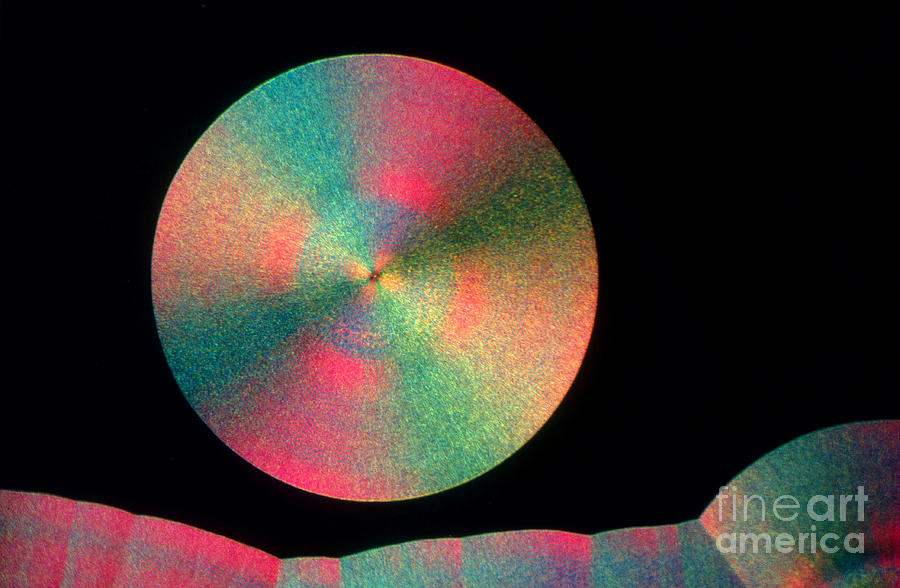 Chemistry Photograph - Vitamin C Crystal #4 by M I Walker