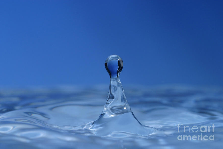 Water Droplet #2 Photograph by Ted Kinsman