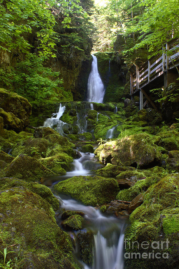 Waterfall #2 Photograph by Ted Kinsman