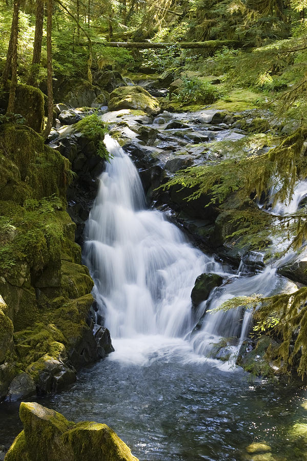 Waterfalls Of Sol Duc River, Olympic #2 Photograph by Konrad Wothe
