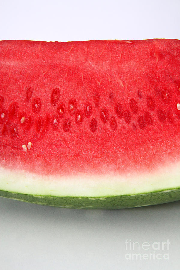 Watermelon Photograph by Photo Researchers, Inc.