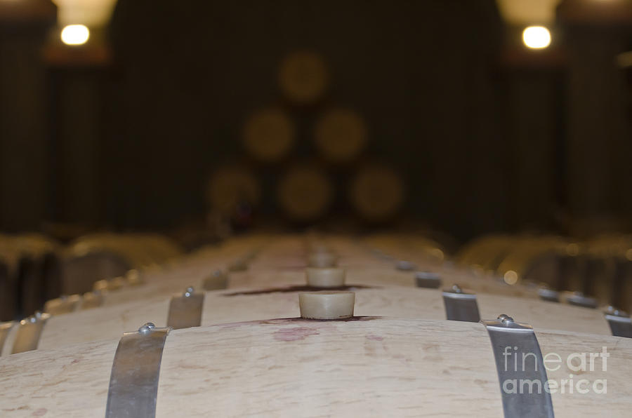 Wine Photograph - Wine barrels #2 by Mats Silvan