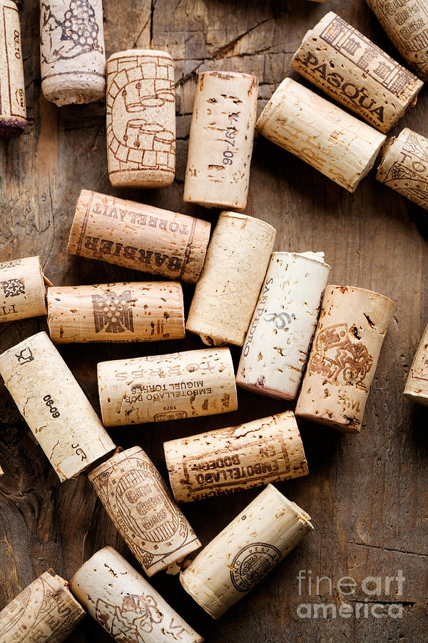 Wine corks #2 Photograph by Kati Finell