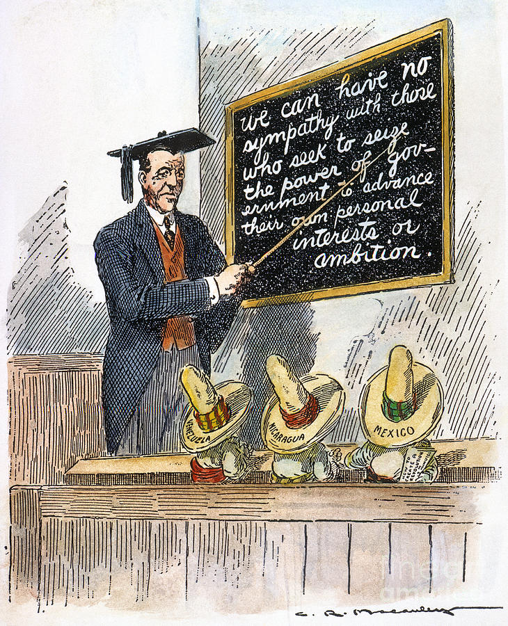 1914 Photograph - Woodrow Wilson Cartoon #2 by Granger