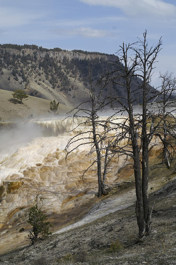 Yellowstone Natl Park #3 Photograph by Henri Irizarri
