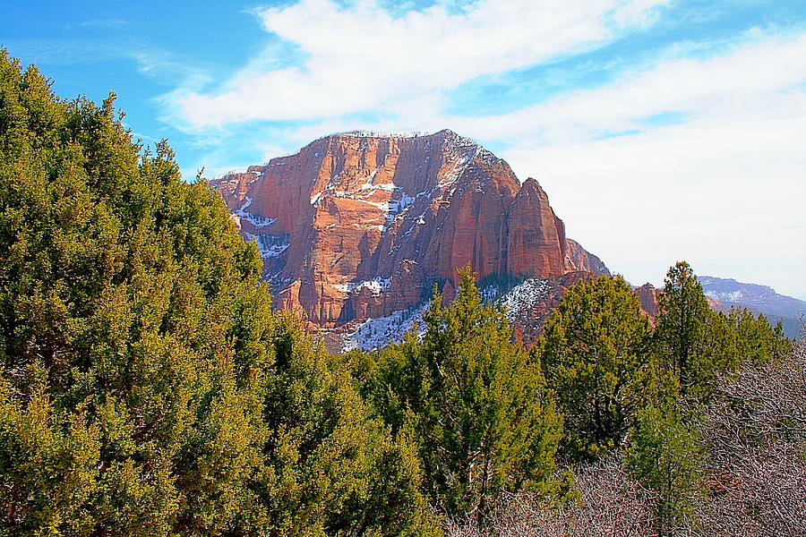 Mountain Photograph - Zion Park #2 by Horst Duesterwald
