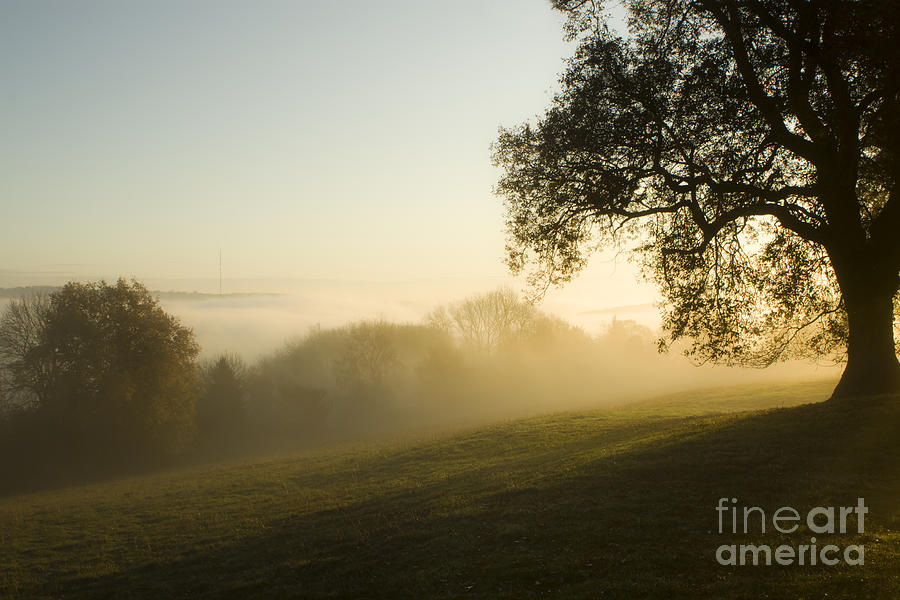 Fall Photograph - Misty Morning #20 by Ang El