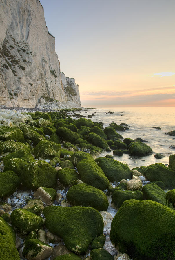 Sunrise at the White Cliffs of Dover #20 Photograph by Ian Middleton