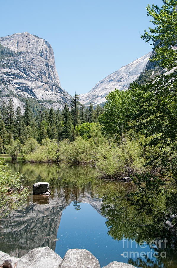 Yosemite #20 Digital Art by Carol Ailles