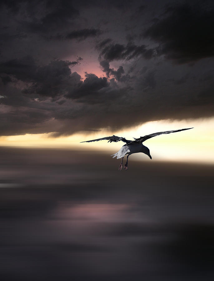 2054 Photograph by Peter Holme III