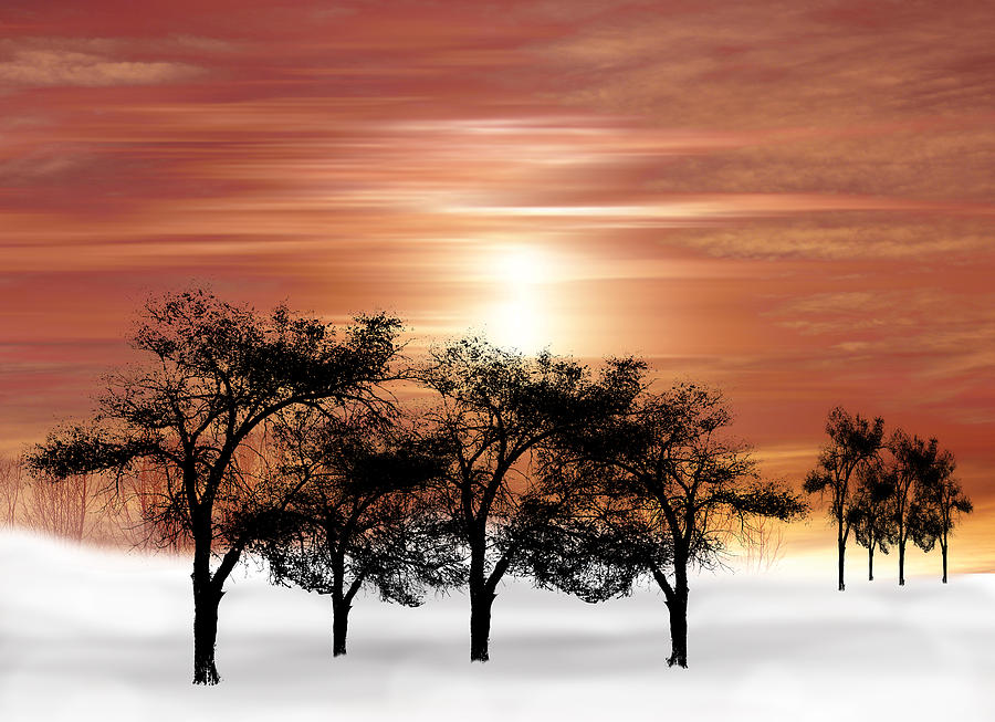 2063 Photograph by Peter Holme III