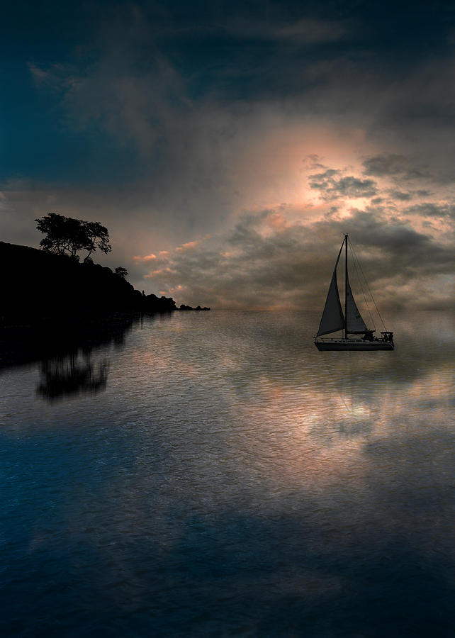 2066 Photograph by Peter Holme III