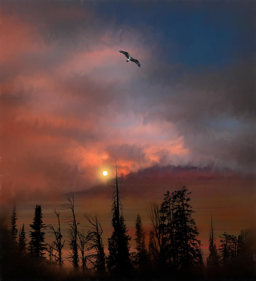 2169 Photograph by Peter Holme III