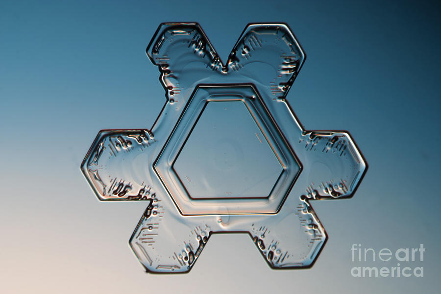Snowflake #22 Photograph by Ted Kinsman