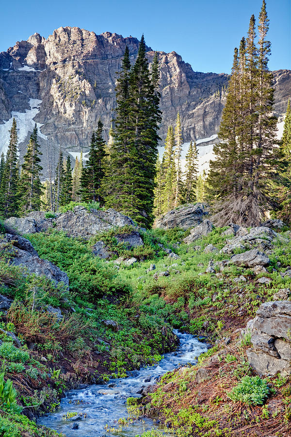 Wasatch Mountains Utah Photograph by Utah Images