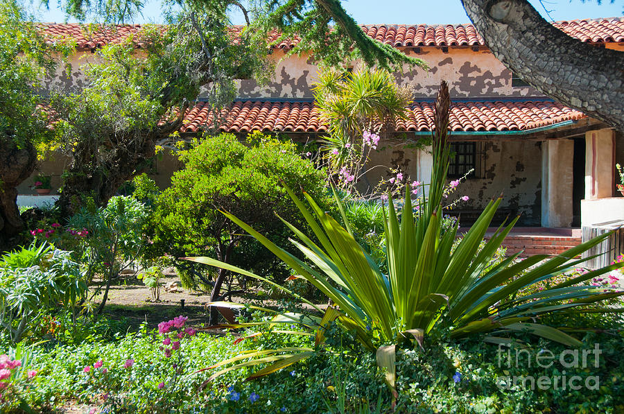 Gardens In Carmel Monastery Digital Art