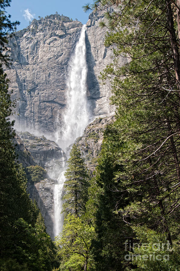 Yosemite #23 Digital Art by Carol Ailles