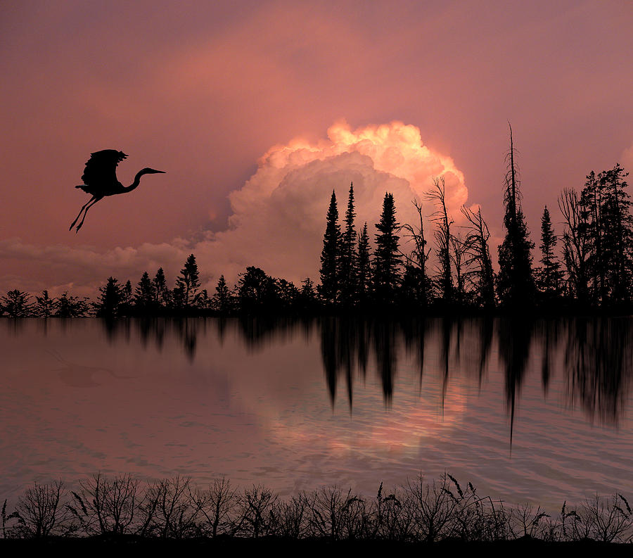 2301 Photograph by Peter Holme III
