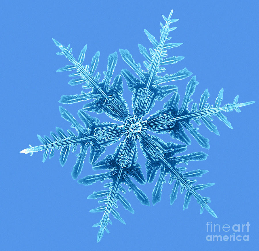 Snowflake #24 Photograph by Science Source