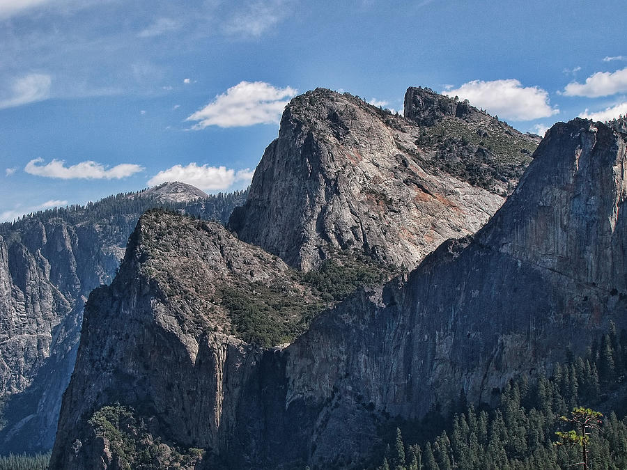 Yosemite National Park #24 Photograph by Helaine Cummins