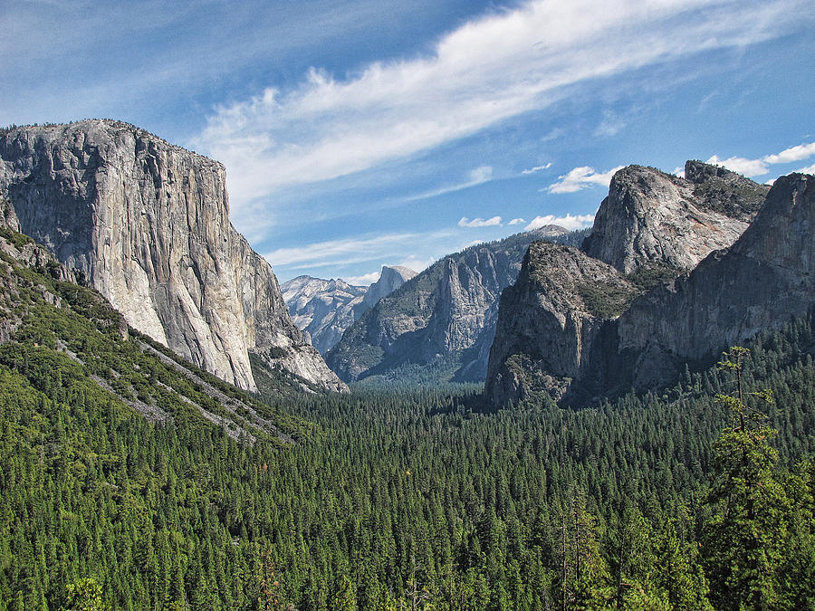 Yosemite National Park #25 Photograph by Helaine Cummins