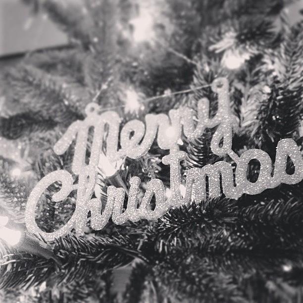 Christmas Photograph - Instagram Photo #251356398701 by Meredith Leah Christmas Photograph - Instagram Photo #251356398701 by Meredith Leah