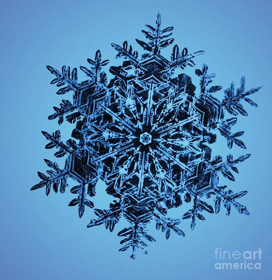 Snowflake #26 Photograph by Science Source