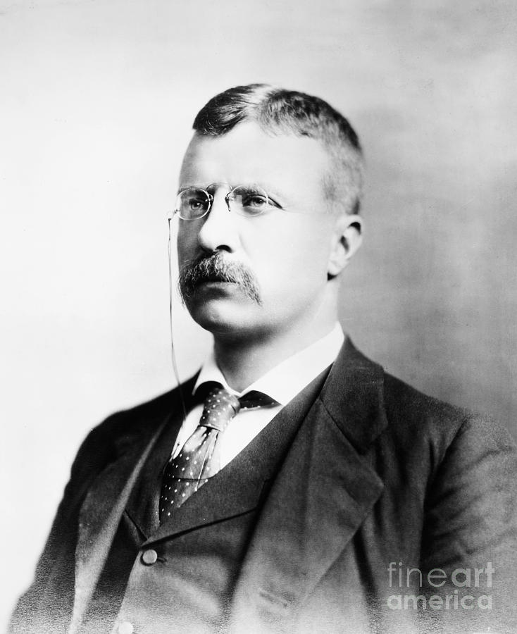 Theodore Roosevelt Photograph by Granger