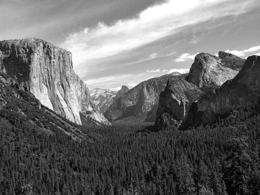 Yosemite National Park #26 Photograph by Helaine Cummins