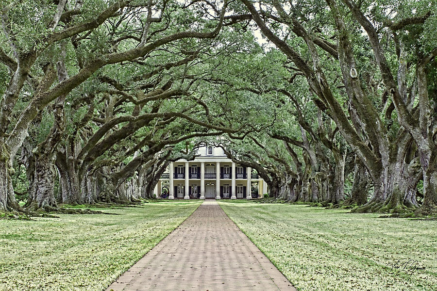 oak alley plantation interview with a vampire