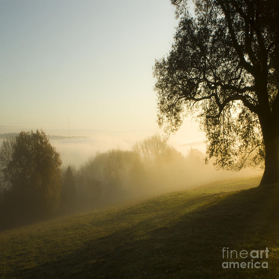 Misty Morning Photograph
