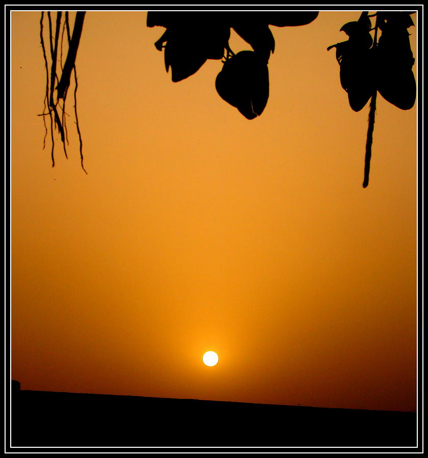 Sun In Different Moods #29 Photograph by Anand Swaroop Manchiraju