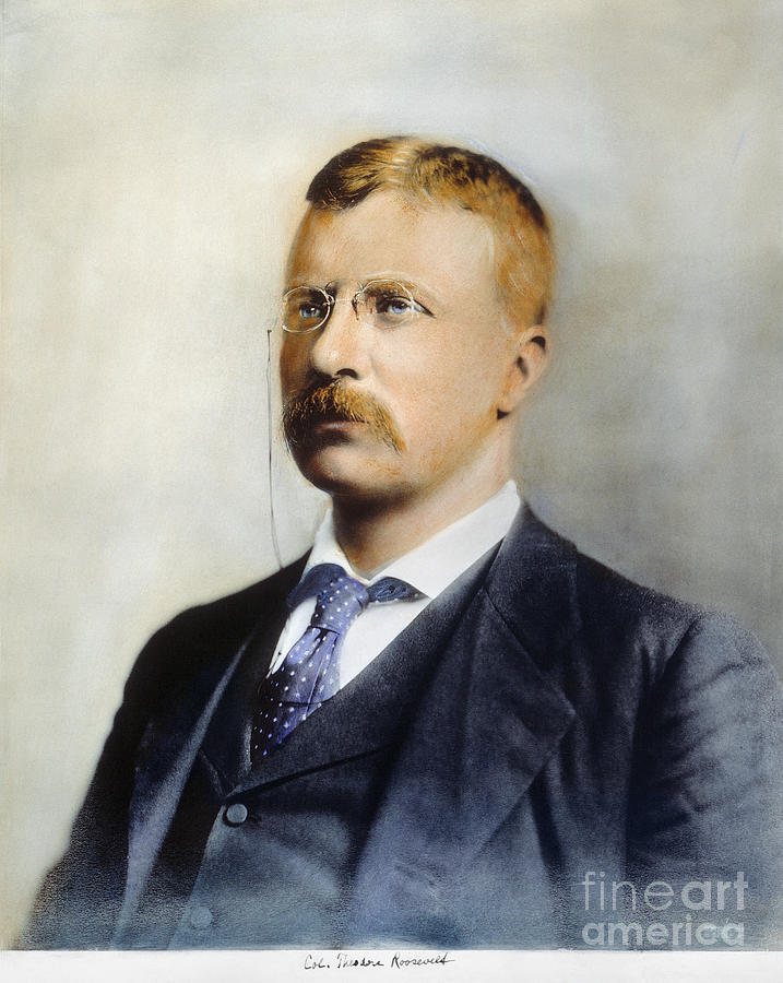 Portrait Photograph - Theodore Roosevelt #29 by Granger