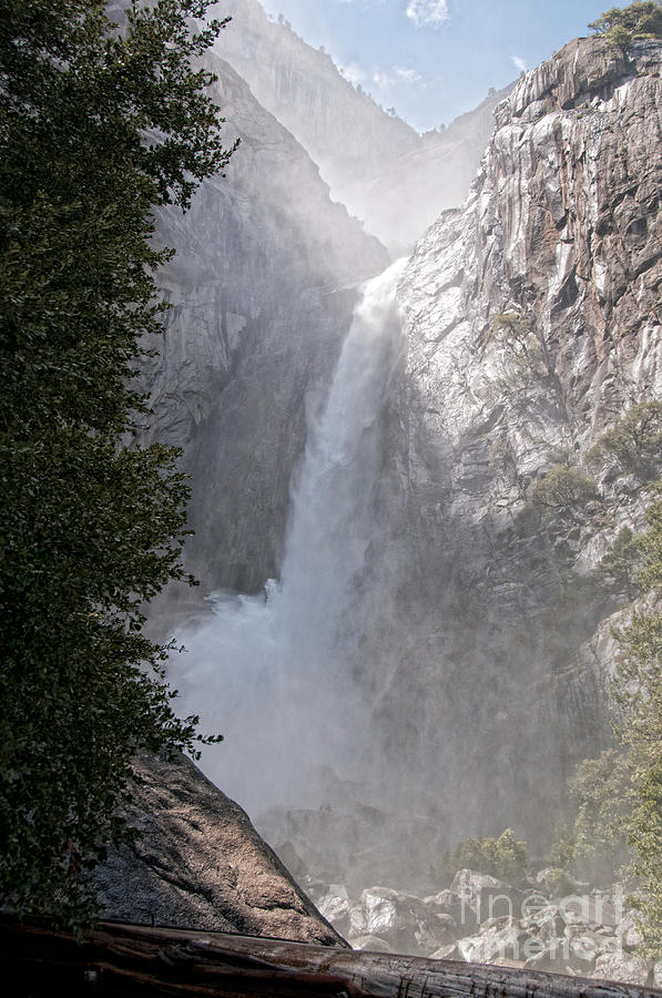 Yosemite #29 Digital Art by Carol Ailles