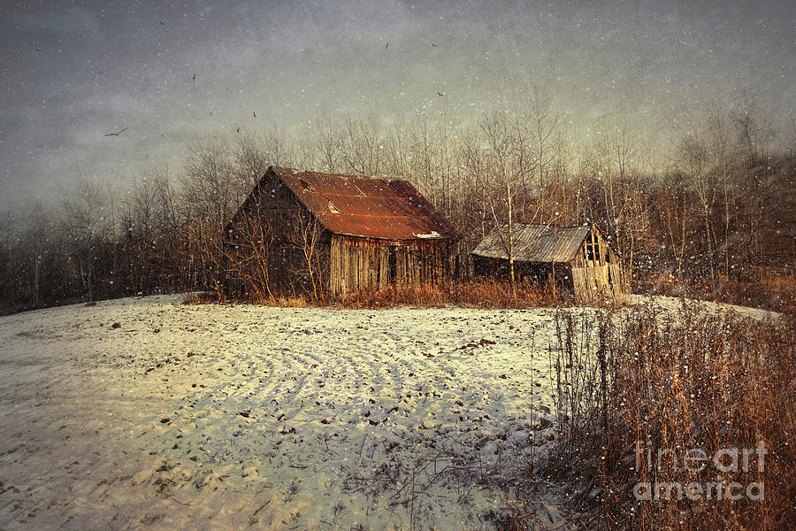 Nature Photograph - Abandoned barn with snow falling #3 by Sandra Cunningham