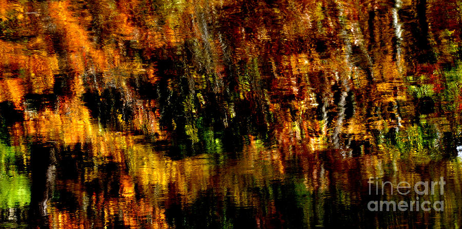 Abstract Babcock State Park #3 Photograph by Thomas R Fletcher