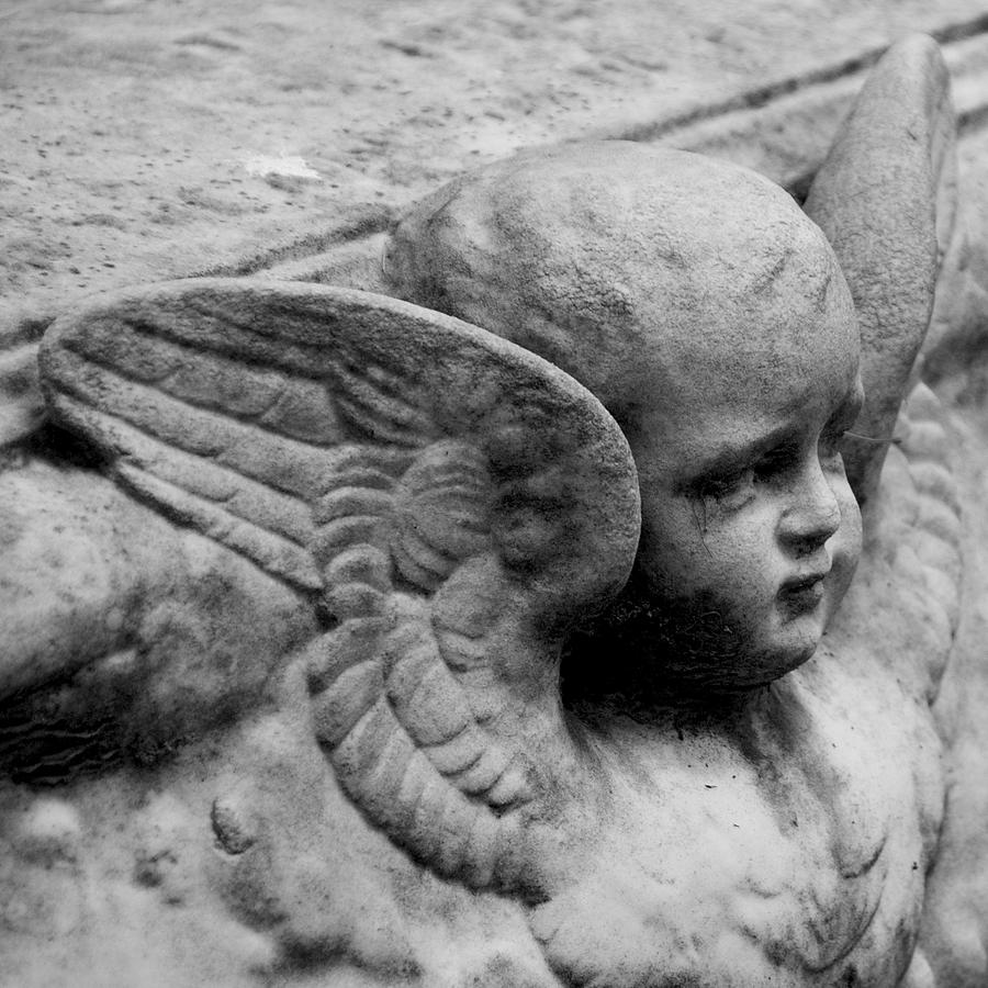 Angels Among Us #3 Photograph by Leslie Lovell