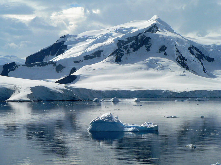 Antarctica Paradise Harbour Photograph by Photo, David Curtis