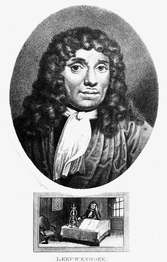 Anton Van Leeuwenhoek Photograph by Granger - Fine Art America