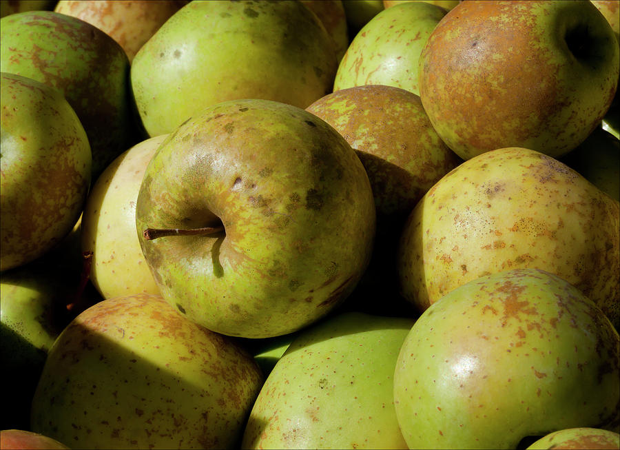 Apples #3 Photograph by Robert Ullmann