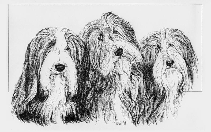 3 Bearded Ladies Drawing by Patrice Clarkson