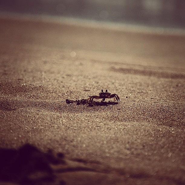 Beach Photograph - #bestoftheday #art #instagramers #3 by Jesus Muro Razuri